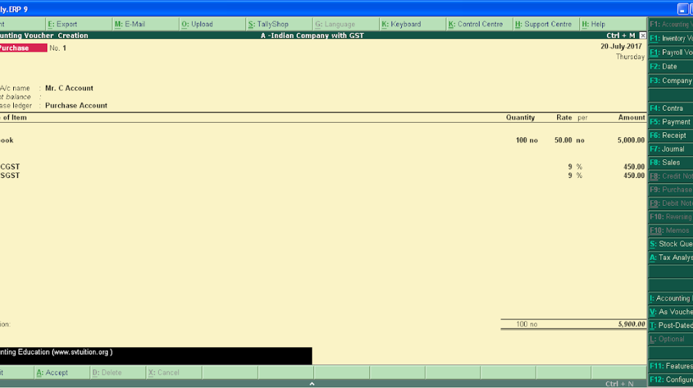 Tally Software for GST Compliance in India