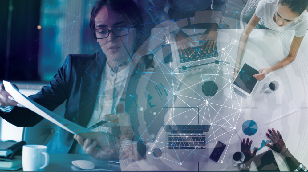 Tally Accounting Software in India