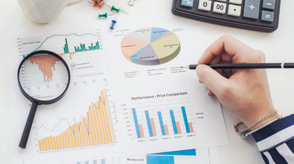 MIS and Business Reports in India